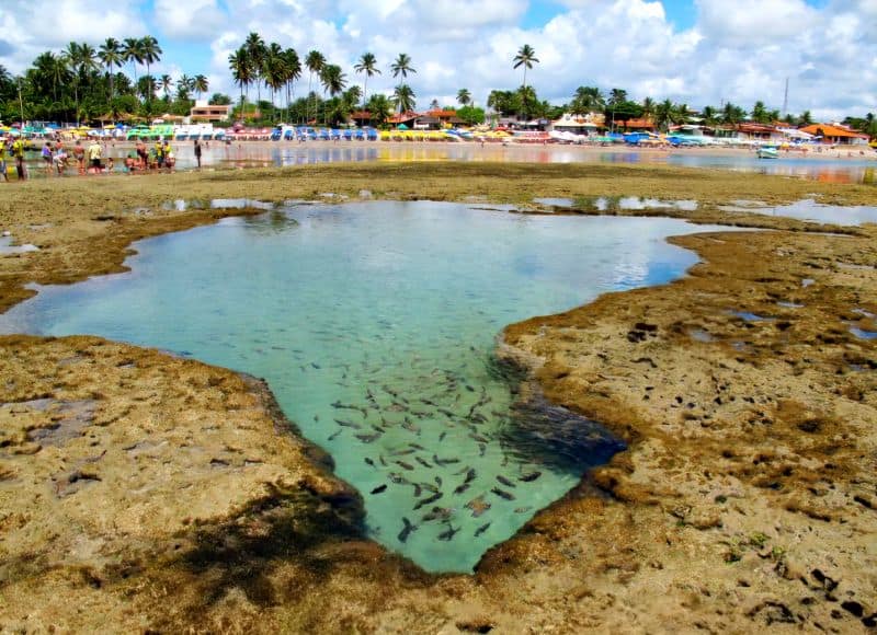 Piscinas naturales en el centro de Porto de Galinhas llenas de peces