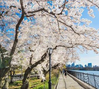 abril en nueva york que ver