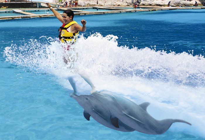 Nadar con delfines una de las mejores excursiones que hacer en Punta Cana