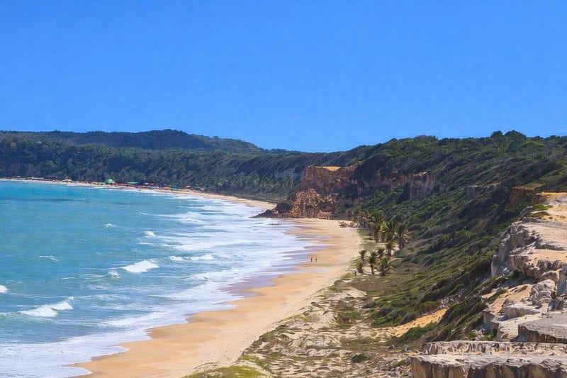 Playa salvaje de Tibau do Sul, oleaje fuerte y vegetacion