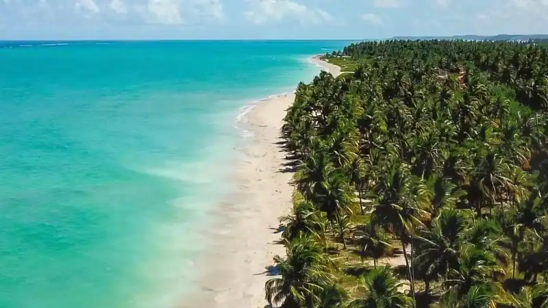 Cocoteros, arena blanca y mar verde en praia do patacho, toma aérea
