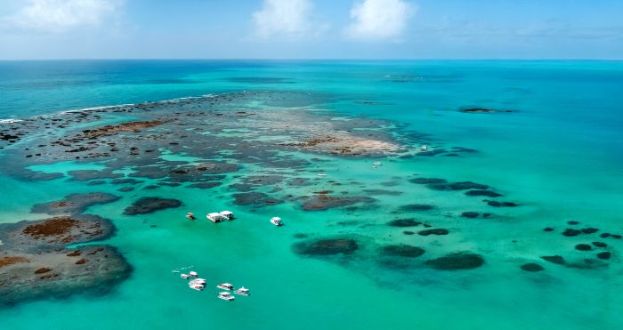 Vista aérea de las piscinas naturales de Galés en Maragogi, con aguas cristalinas y turistas haciendo snorkel, capturada desde un drone