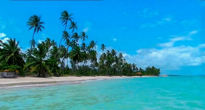 Playa de Ponta do Mangue vista desde el mar, con aguas cristalinas y palmeras al fondo sobre la arena blanca