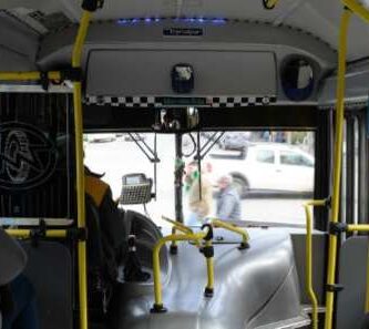 Colectivo línea 20 Mi bus Puerto Pañuelo